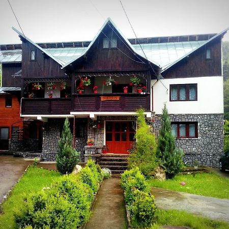 Vila Vanturis Hotel Sinaia Exterior photo